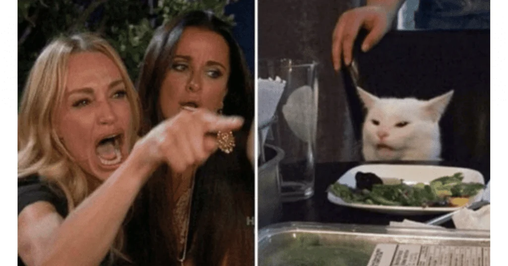 Woman yelling at a cat meme