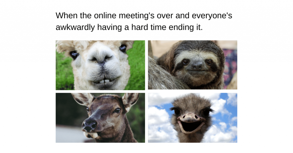 Online meeting meme